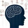 Icône d'un cerveau avec des nœuds